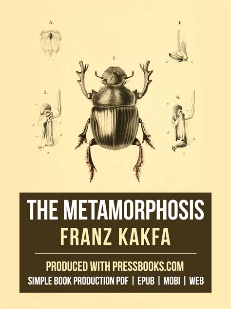 metamorphosis pdf